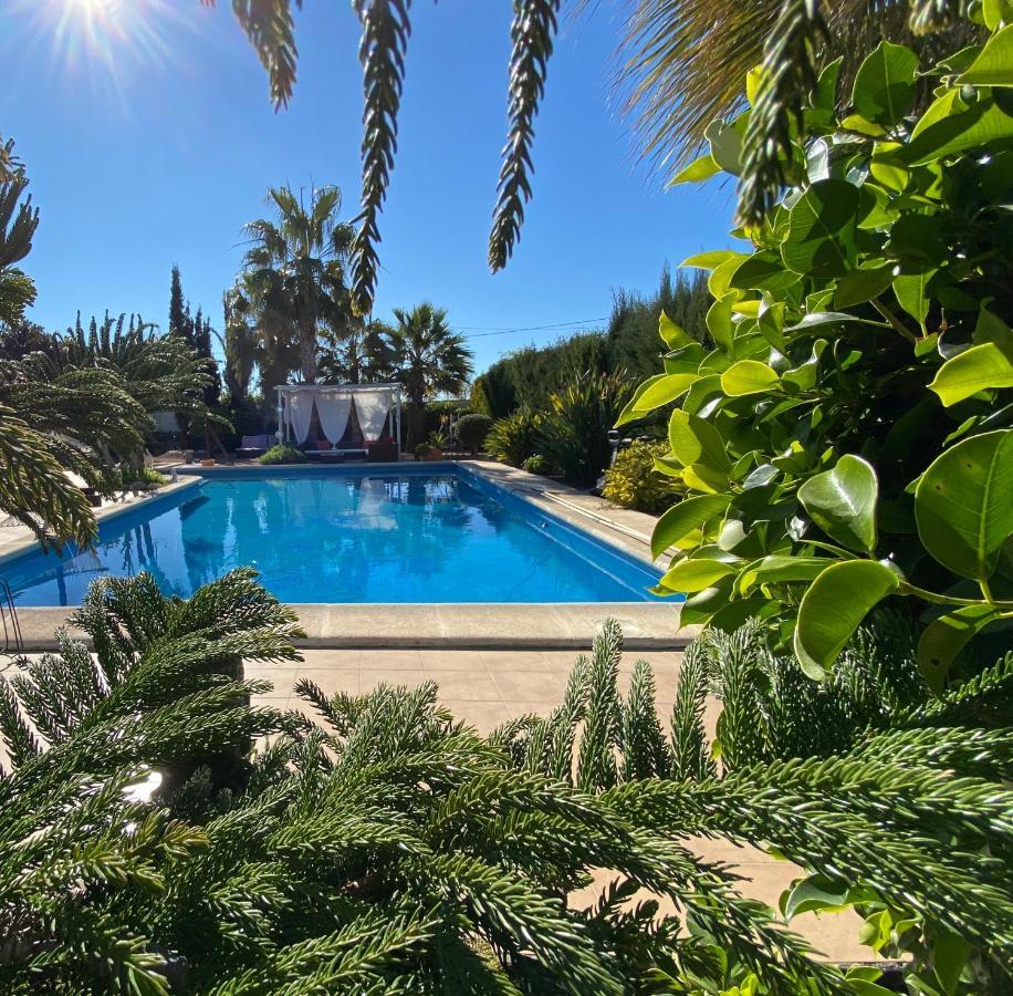 Vacaciones La Marina Costa Blanca Villa Kültér fotó